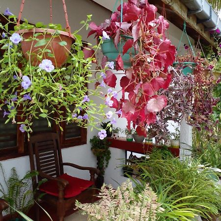 Gem Villa เวลิกามา ภายนอก รูปภาพ