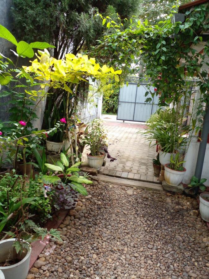 Gem Villa เวลิกามา ภายนอก รูปภาพ