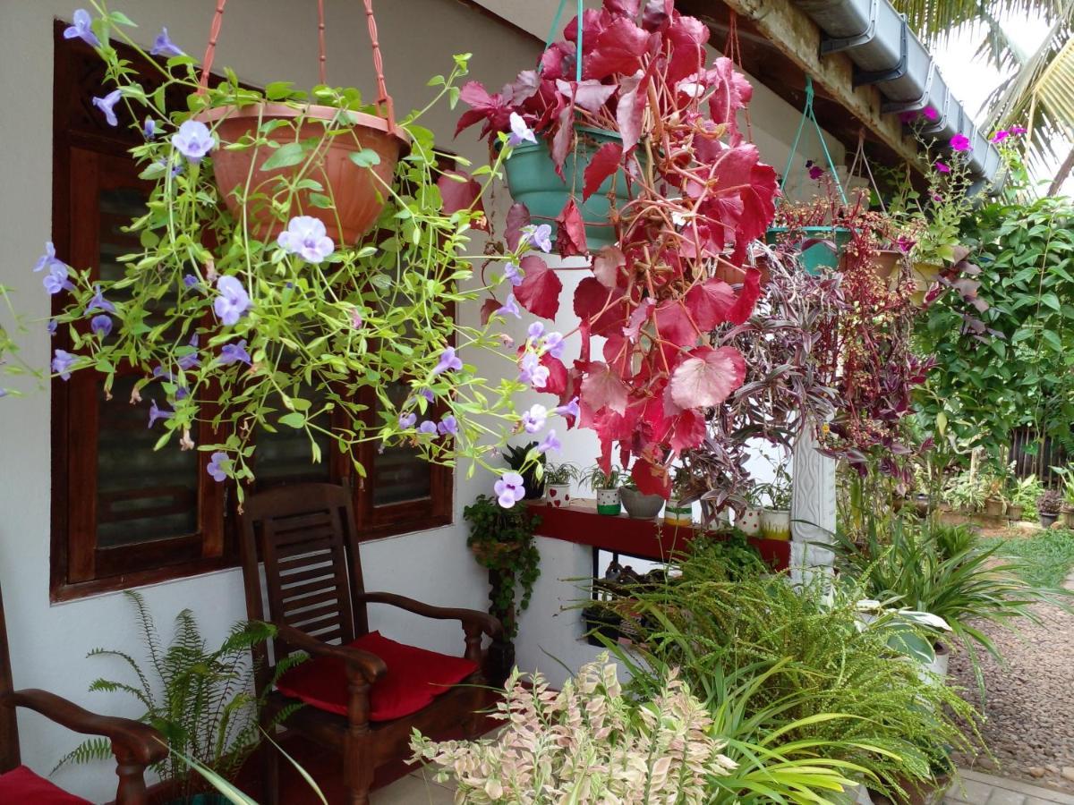 Gem Villa เวลิกามา ภายนอก รูปภาพ