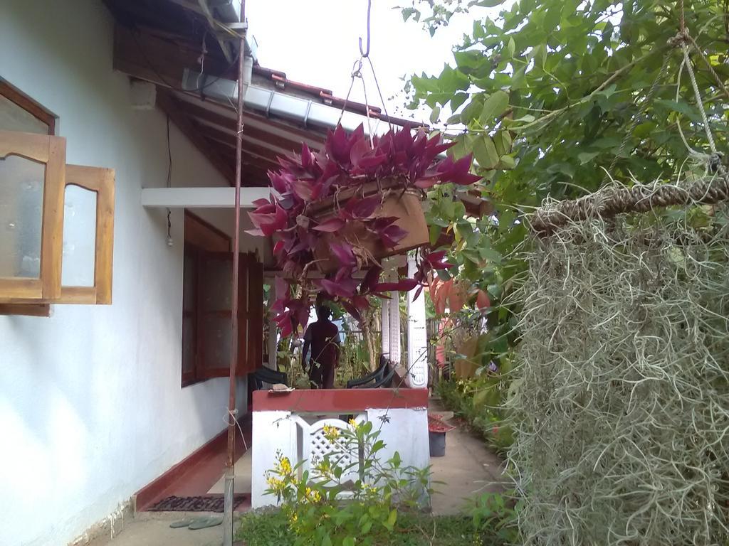 Gem Villa เวลิกามา ภายนอก รูปภาพ